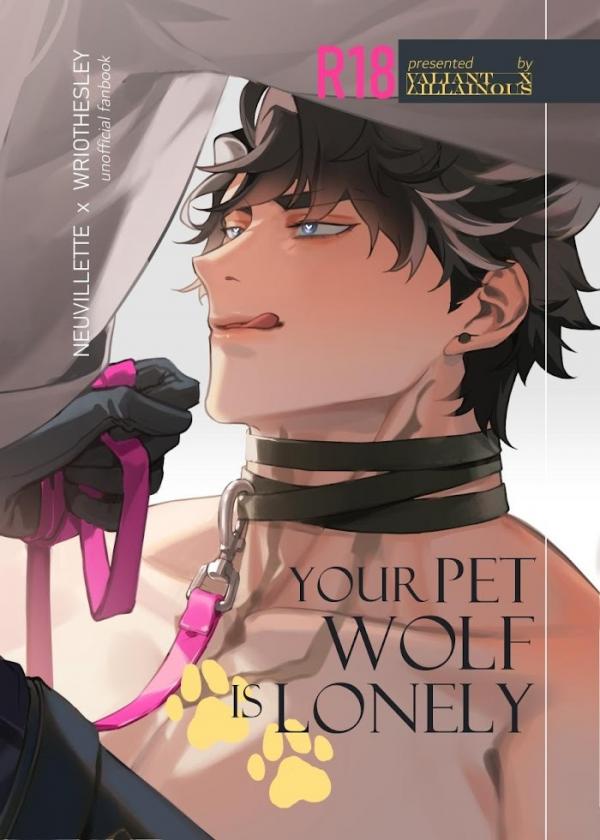 Your Pet Wolf is Lonely - Genshin Impact DJ